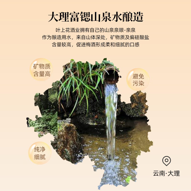 大理叶上花青梅酒10°