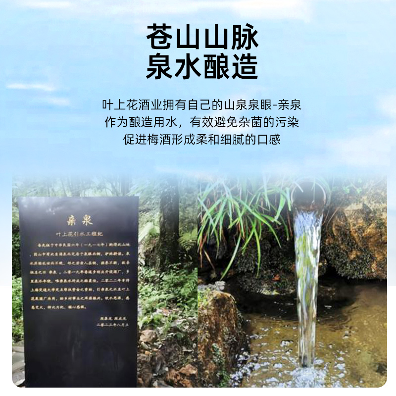 大理叶上花梅酒7°